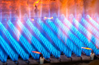 Lower Shelton gas fired boilers